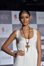 Model walks the ramp for Zeenat Desai Show at IIJW Day 3 on 21st Aug 2012 (26).JPG